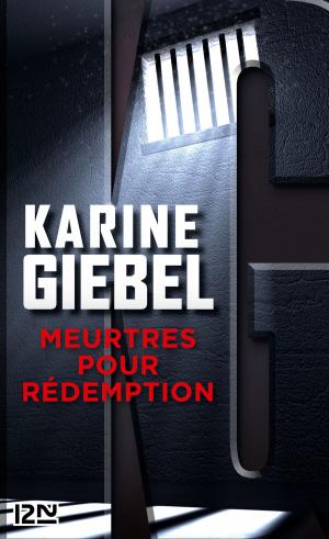 Cover of the book Meurtres pour rédemption by Anne-Marie POL