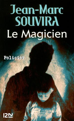 Book cover of Le Magicien