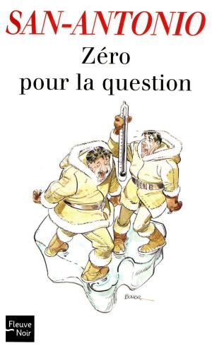 Cover of the book Zéro pour la question by S Eric Wachtel