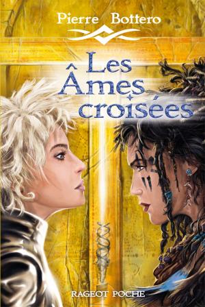 Cover of the book Les Âmes croisées by Agnès Laroche