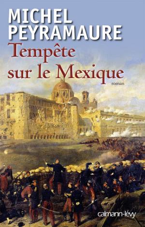 Book cover of Tempête sur le Mexique