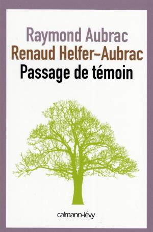 Cover of the book Passage de témoin by Anne Dufourmantelle