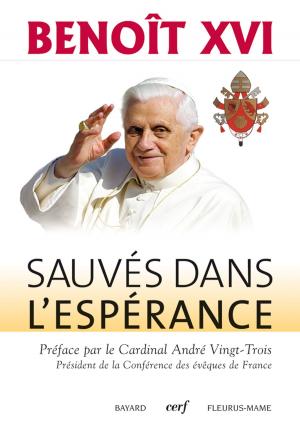 Cover of the book Sauvés dans l'espérance by Lulu Saint-Régis