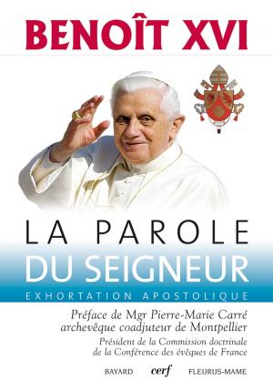 Cover of the book La Parole du Seigneur by André Merlaud