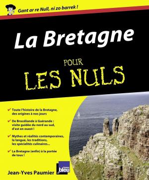 Cover of the book La Bretagne Pour les nuls by LONELY PLANET FR