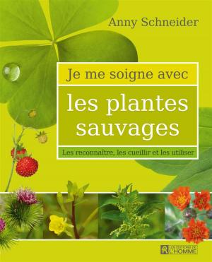 Cover of the book Je me soigne avec les plantes sauvages by Jocelyne Robert