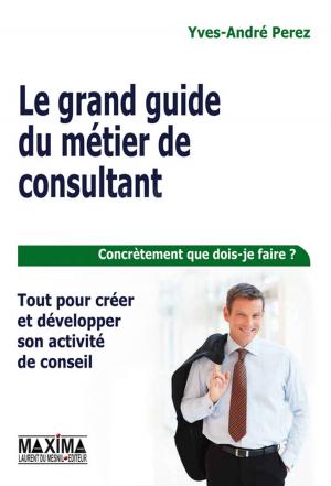Cover of the book Le grand guide du métier de consultant - Tout pour créer et développer son activité de conseil by Eric Briys, HENRI BOURGUINAT