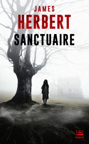 Cover of the book Sanctuaire by Ileandra Young
