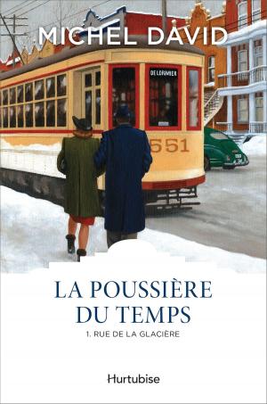Cover of the book La Poussière du temps T1 - Rue de la Glacière by Michel Langlois