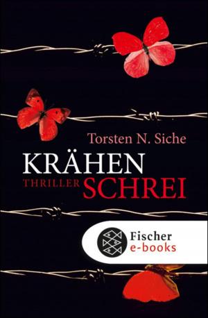 Cover of the book Krähenschrei by Tilman Allert