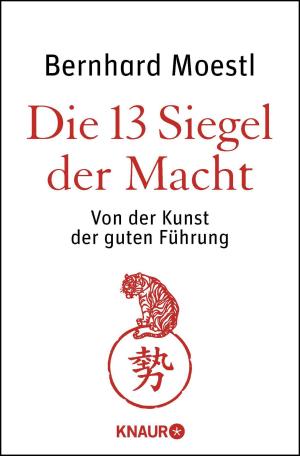 Cover of the book Die 13 Siegel der Macht by Volker Kitz