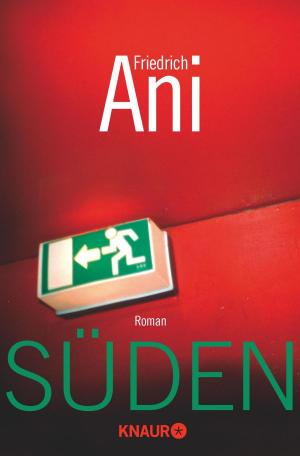 Cover of the book Süden by Karen Rose