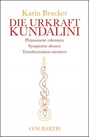 Cover of the book Die Urkraft Kundalini by Jonathan Goldman