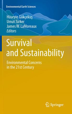 Cover of the book Survival and Sustainability by Angang Hu, Yilong Yan, Xing Wei