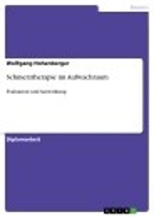 Cover of the book Schmerztherapie im Aufwachraum by Holger Rief
