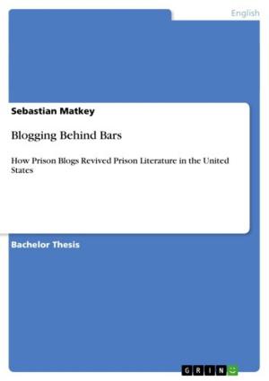 Cover of the book Blogging Behind Bars by Sumit Khandelwal, Pradeep Jawandhia