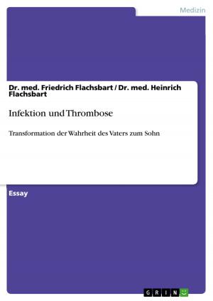 Cover of the book Infektion und Thrombose by Lisa Maria Hirschfelder