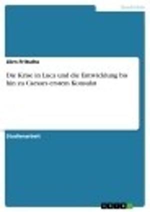 Cover of the book Die Krise in Luca und die Entwicklung bis hin zu Caesars erstem Konsulat by Julia Böhm