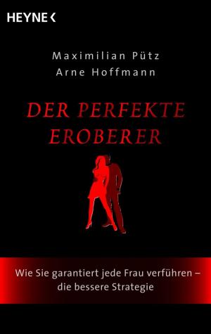 Book cover of Der perfekte Eroberer