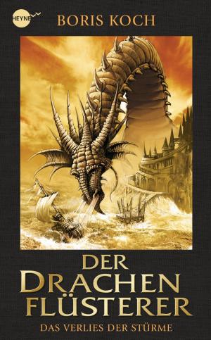 Book cover of Der Drachenflüsterer - Das Verlies der Stürme