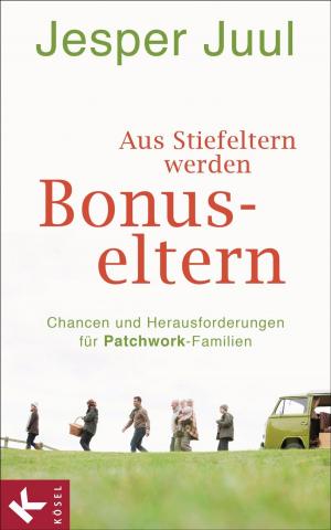 Book cover of Aus Stiefeltern werden Bonus-Eltern