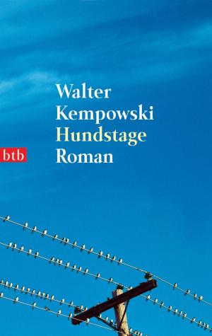 Cover of the book Hundstage by Richard Wagner