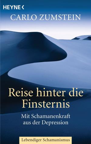 Cover of the book Reise hinter die Finsternis by Robert A. Heinlein