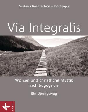 Cover of the book VIA INTEGRALIS. Wo Zen und christliche Mystik sich begegnen by Hans Schmid