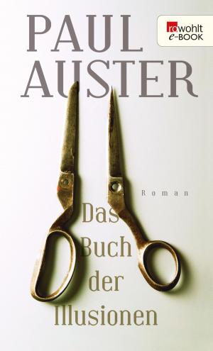 Cover of the book Das Buch der Illusionen by Timo Ameruoso
