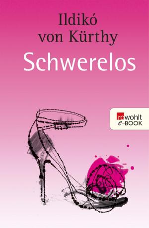 Cover of the book Schwerelos by Manuel Möglich