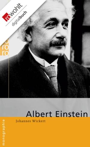 Cover of the book Albert Einstein by Wolfgang Herrndorf