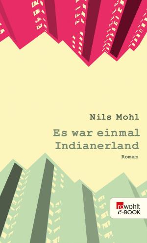 Cover of the book Es war einmal Indianerland by Friedrich Christian Delius