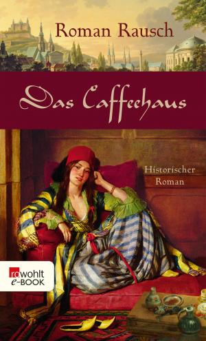 Cover of the book Das Caffeehaus by Stefan Schwarz