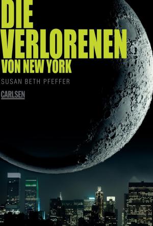 Cover of the book Die Verlorenen von New York (Die letzten Überlebenden 2) by Sylvia Steele