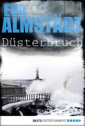 Cover of the book Düsterbruch by Diana Laurent