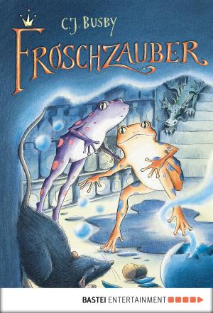 Cover of the book Froschzauber by Andreas Kufsteiner