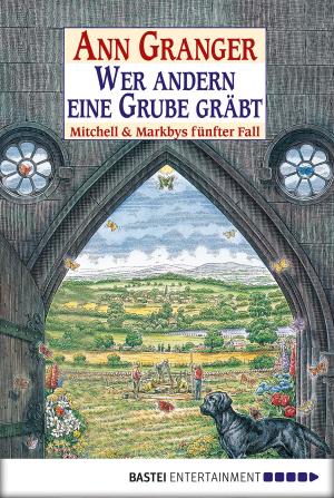 Cover of the book Wer andern eine Grube gräbt by Ian Rolf Hill