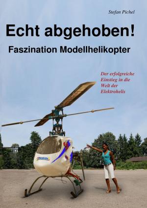 Cover of the book Echt abgehoben! by Frank Böttger