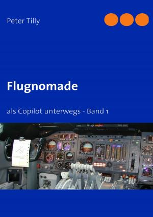 Cover of the book Flugnomade by Tim Herzberg