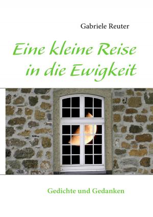 Cover of the book Eine kleine Reise in die Ewigkeit by Mehdi Ghasemi