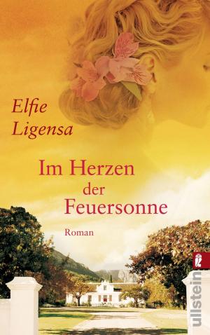 Cover of the book Im Herzen der Feuersonne by Anja Bogner