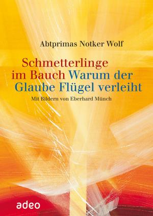 Cover of the book Schmetterlinge im Bauch by Notker Wolf