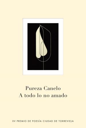 Cover of the book A todo lo no amado by Beltrán Rubio González