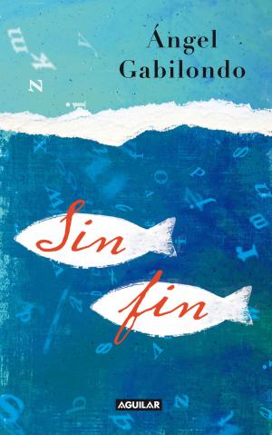 Cover of the book Sin fin by Karina Sainz Borgo