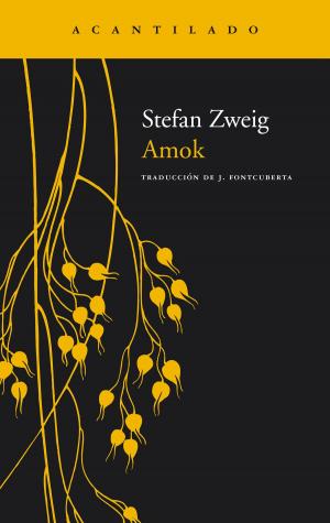 Cover of the book Amok by Stefan Zweig