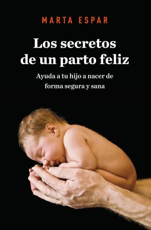 Cover of the book Los secretos de un parto feliz by Sandrine Destombes