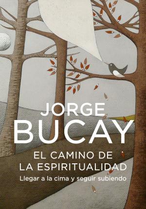 Cover of the book El camino de la espiritualidad by Sachin Naha