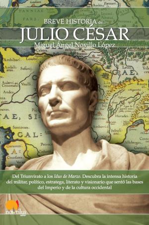 Cover of Breve historia de Julio César