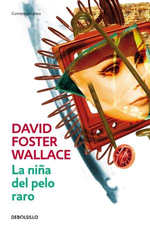 Cover of the book La niña del pelo raro by David Baldacci