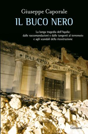 Cover of the book Il buco nero by Nicola Gardini